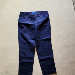 Apt 9, Tories style size 14 pant